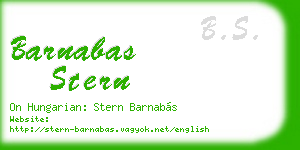 barnabas stern business card